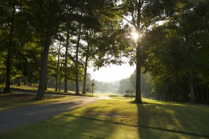 TellicoVillage-10779 (1)